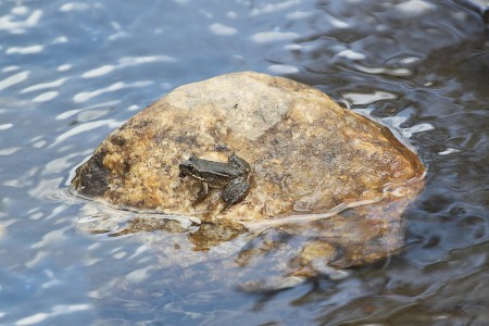 Это мой остров